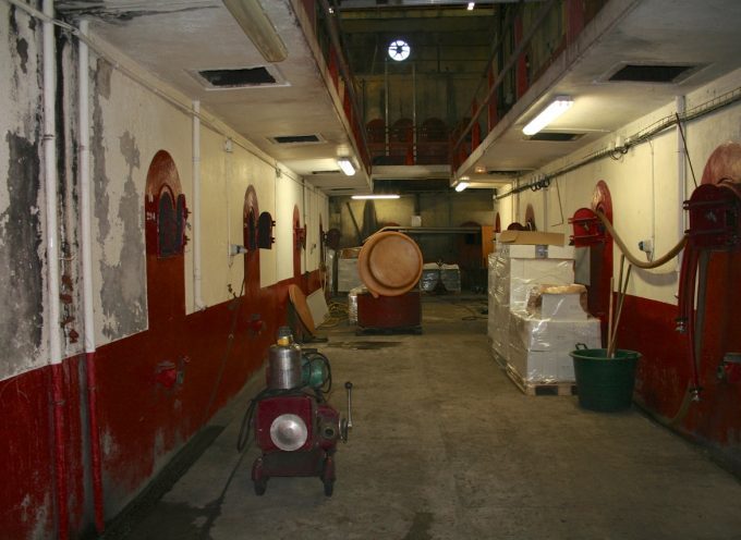 La cave de l’AJH de Peyssies : La réussite d’un projet éducatif qui a su produire des vins de qualité.