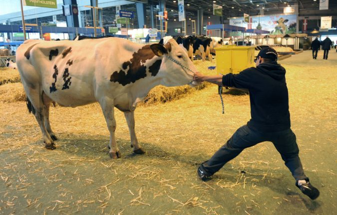 Le salon de l'agriculture