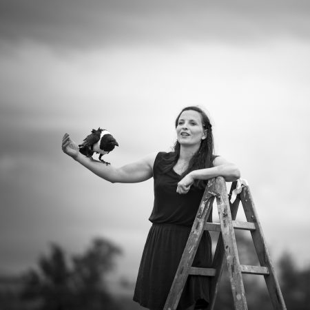 Un spectacle à ne pas manquer