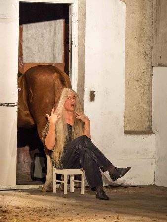 Des situations cocasses