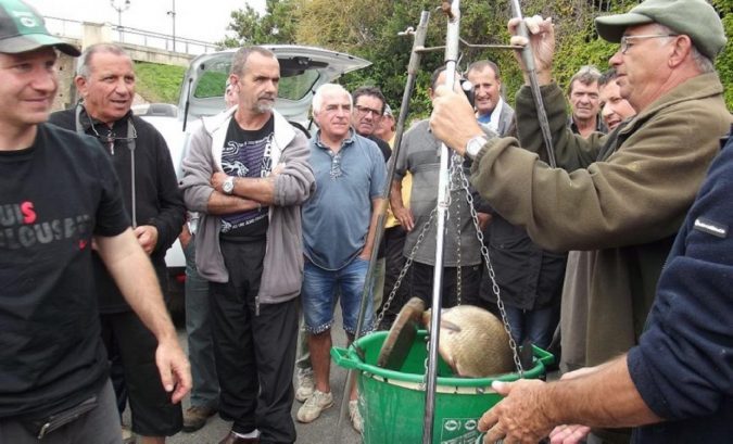 Concours de pêche au feeder