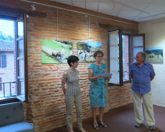 Michel Bettendroffer