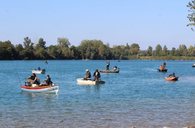 challenge carnassier