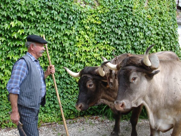 Pyrénées Gasconnes