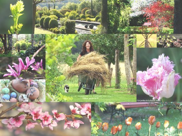 Printemps au Jardin de la poterie d'Hillen
