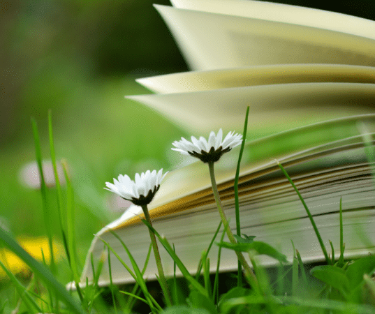 Réouverture Médiathèque Le Fousseret Juin 2020