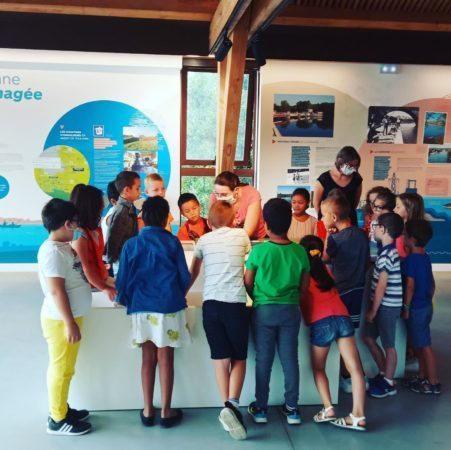 Une grande diversité dans les animations