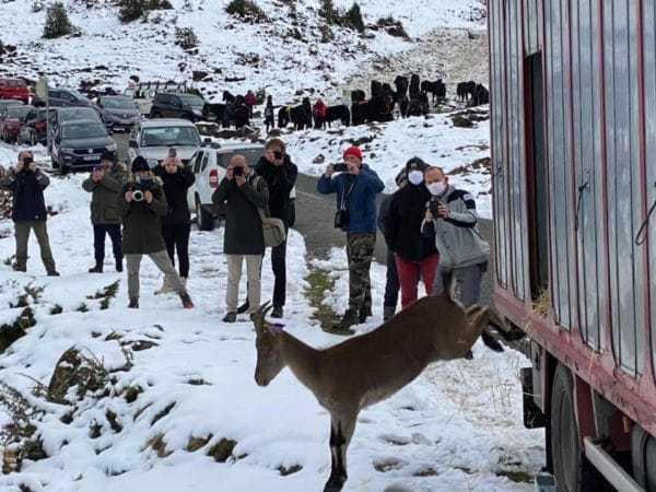 Il bondit hors du camion venu d'espagne