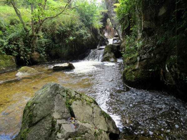 Plaisir d'être au vert