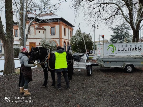 Collecte de sapin de Noël - Bérat - Janvier 2021