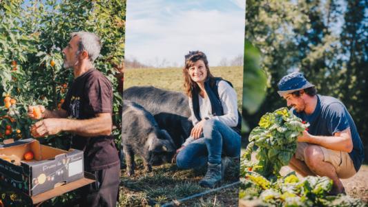 Consommer local et de saison devient facile