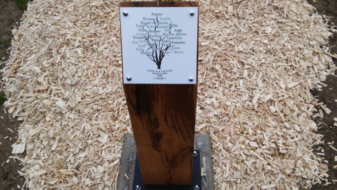 Arbre des naissances 2020 Bérat