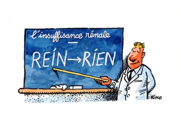 Journée mondiale du rein