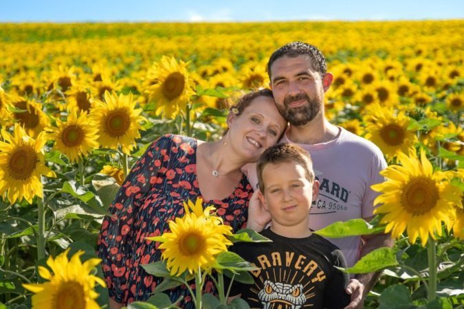 abeille et coccinelle