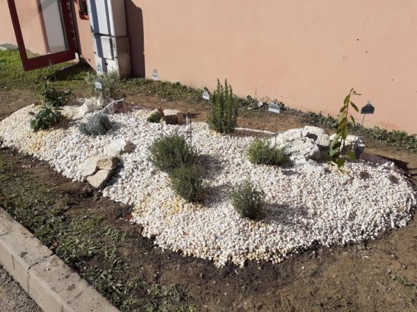 Plantations terminées