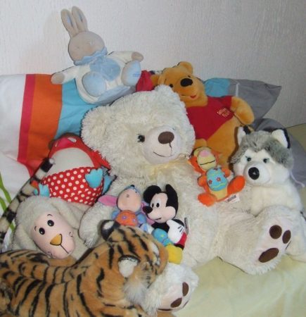 La collecte de jouets d'occasion, du 20 au 28 novembre, un geste généreux et écologique.