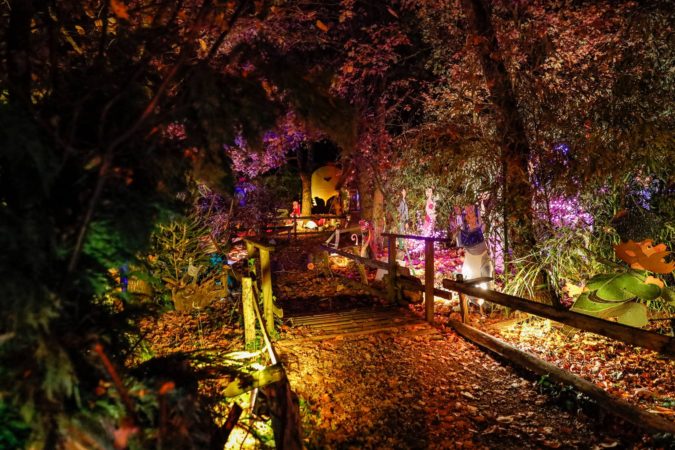 La forêt enchantée