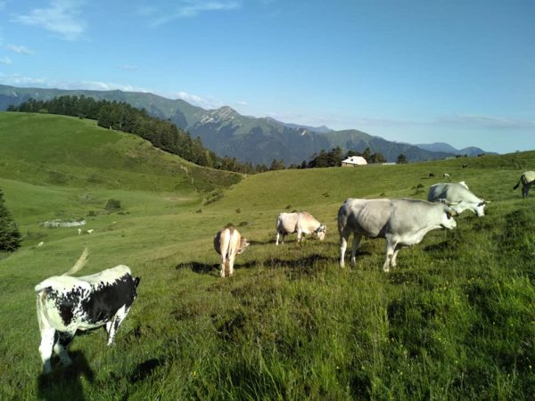Bio Ariège-Garonne recrute un responsable administratif et financier sur Frouzins.