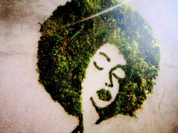 Une fresque végétale de Virginie Le Gauyer