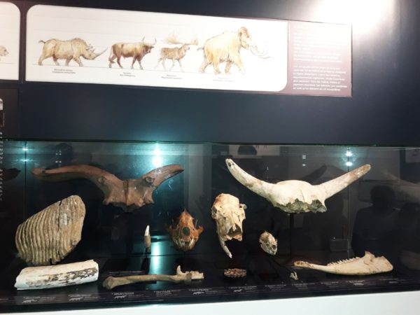 Une programmation d'animations riche pour les vacances d'hiver au musée de l'Aurignacien.