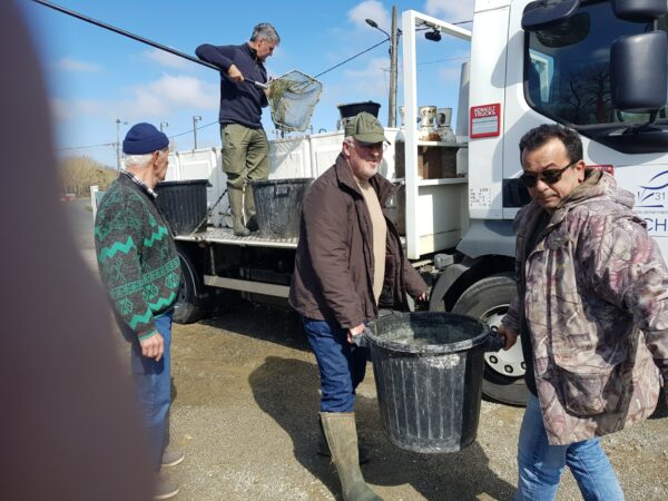 Alevinage à Auterive