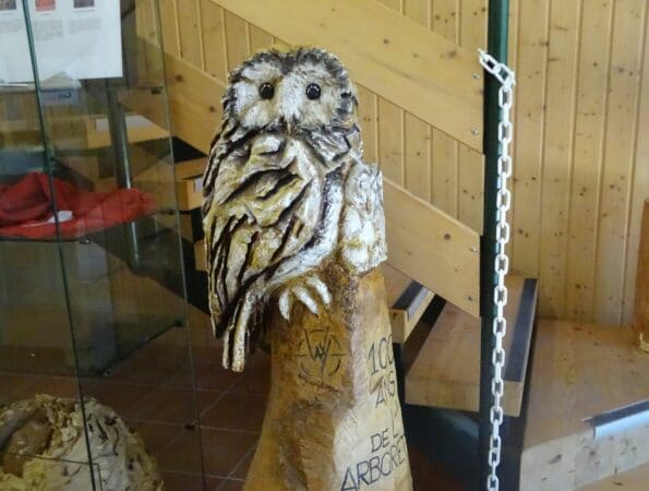 La nouvelle saison d'animations est ouverte à l'Arboretum de Cardeilhac (la chouette, mascotte de la maison forestière).