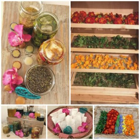 Un atelier découverte des huiles essentielles aura lieu à La Cafetière d'Aurignac le 22 juin (photo illustration).