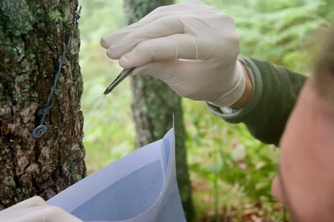 Relever les traces vous mêmes