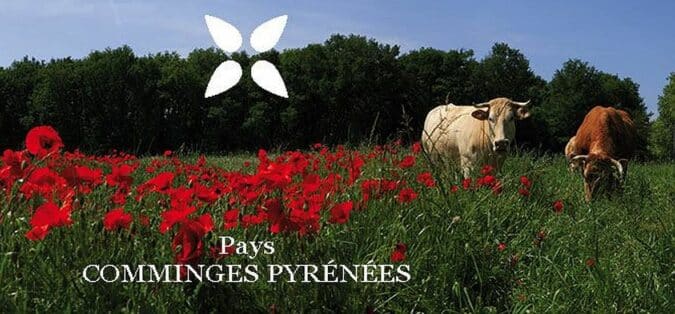 Le PETR diligente une consultation citoyenne sur le territoire du Comminges sur son site, jusqu'au 5 septembre 22.