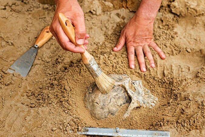 Le club des petits archéos reprend du service au Musée de l'Aurignacien.