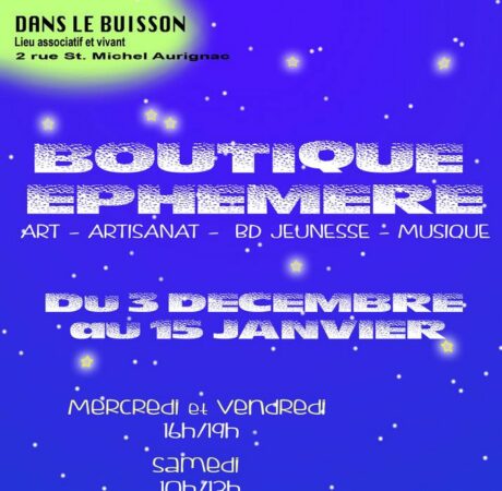 Pour la période des fêtes, la galerie associative Dans le Buisson se met en mode boutique éphémère, pour soutenir les créateurs locaux.