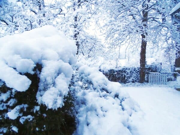 Le Plan Grand Froid est activé à Boulogne sur Gesse.