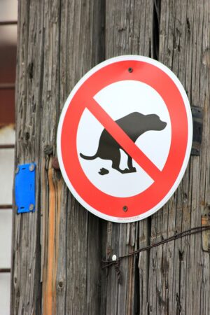La mairie hausse le ton face aux propriétaires de chiens qui laissent leurs crottes dans les rues.