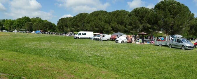 Sous les pins parasoles