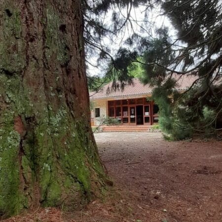 Secrets d'arbres, une balade contée à l'arboretum le 10 août.