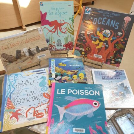 Une exposition instructive sur les océans à la Médiathèque de l'Isle-en-Dodon.