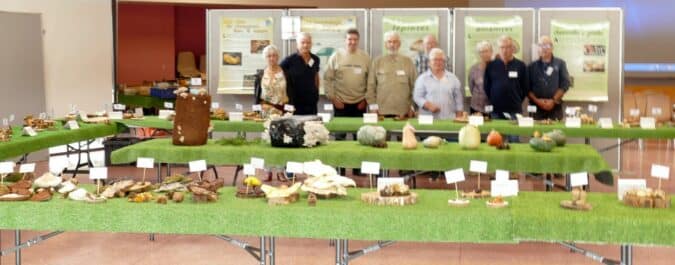 De nombreux spécimens à connaître