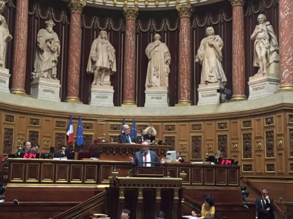 Question cruciale au Gouvernement du sénateur Pierre Medevielle : quelles mesures prophylactiques et financières sont envisagées face à la crise de la MHE dans la filière bovine ?