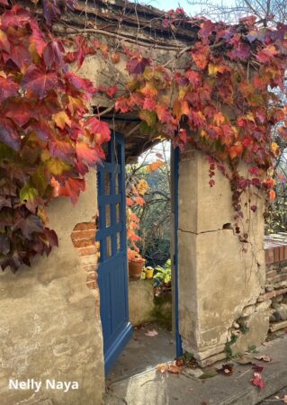 Premier bien mérité !