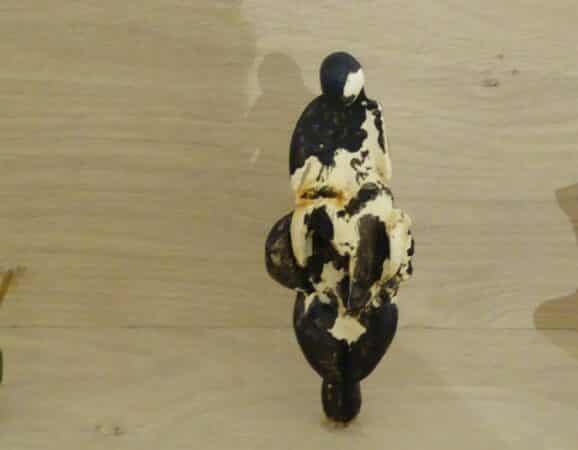 La Vénus de Lespugue et ses consoeurs préhistoriques en expo à L'Isle en Dodon.