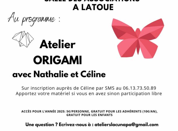 Vous voulez apprendre à plier le papier avec art ? l'atelier origami de Lacunapa est fait pour vous.