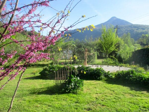 Se détoxifier, ou autrement dit nettoyer son corps des traces de substances toxiques, de toxines