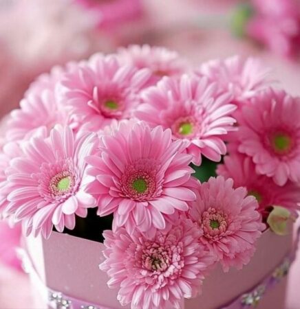 Deux ateliers de kinésiothérapie avec Lacunapa à Latoue.