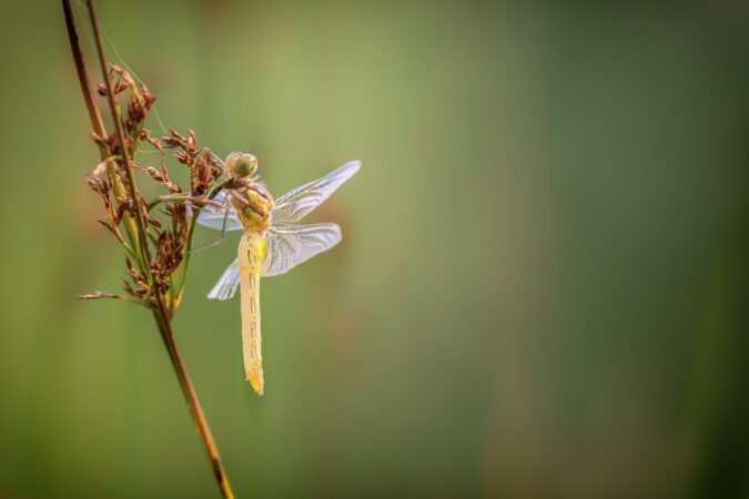 A découvrir jusqu'au 5 juin.