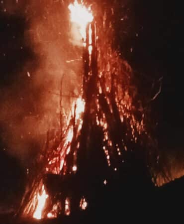 A Couledoux l’arbre fendu