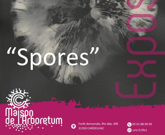 Le travail de Liz Green exposé à la Maison de l'Arboretum tout l'été à Cardeilhac.