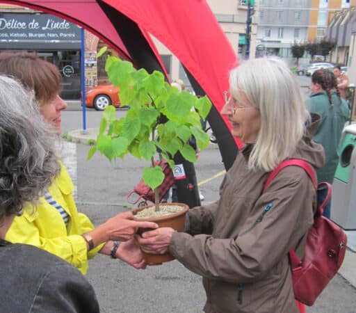 Ce fut notamment le cas lorsque des personnes du collectif CSU (Cagire Sans Usine) sont venues lui offrir un pot contenant un jeune tilleul