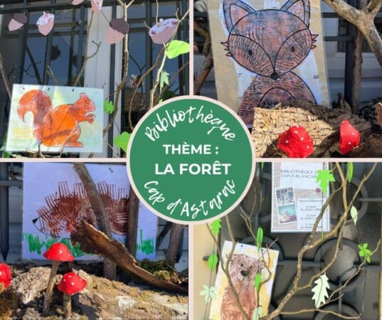 Des œuvres originales et inventives à la bibliothèque pour les Nuits des Forêts à Saint Blancard le 7 juin prochain.
