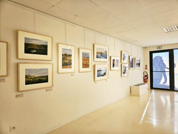 L'exposition du peintre Moustapha Nachar au Musée de l'Aurignacien.