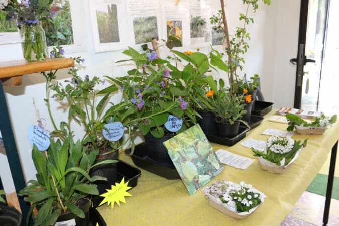 L'échange de graines et de plants, la transmission du savoir botanique, les objectifs de l'association Passe-Graines.